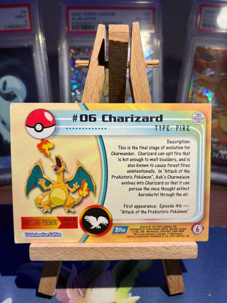 galleryimage 2 zoomed in