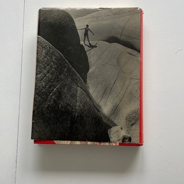 galleryimage 2