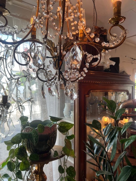 galleryimage 3