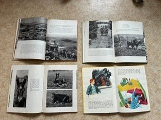 galleryimage 3