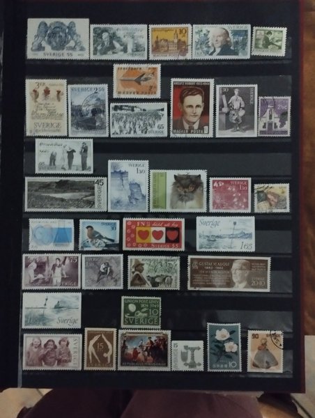 galleryimage 2 zoomed in