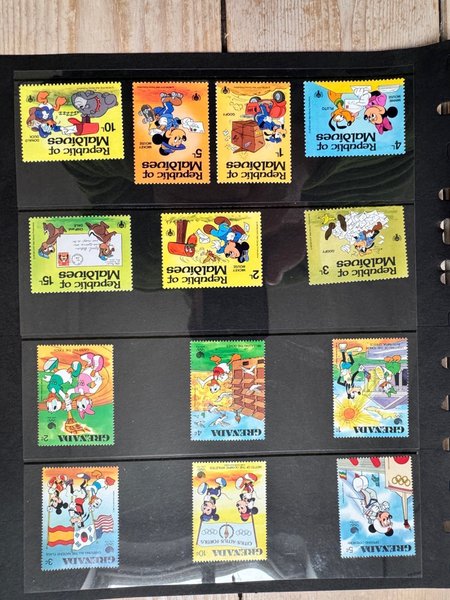 galleryimage 2