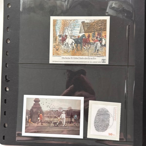 galleryimage 3