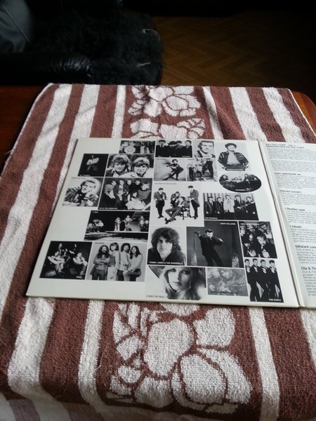 galleryimage 3
