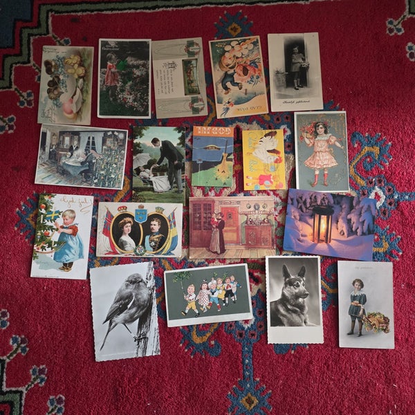galleryimage 3