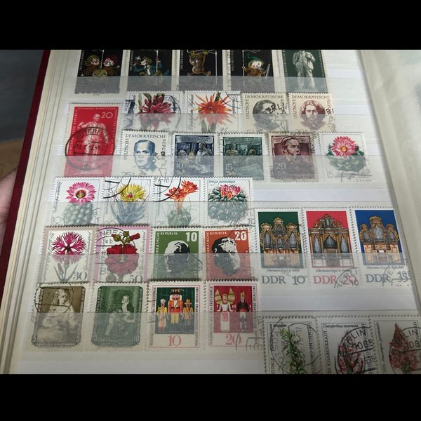 galleryimage 3