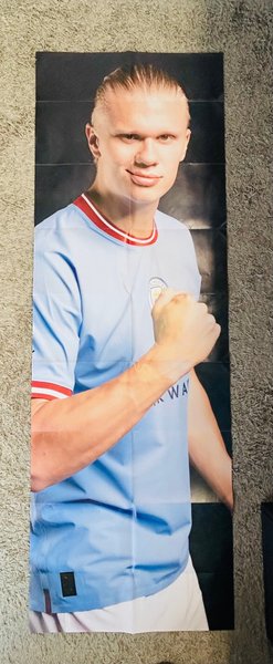 galleryimage 2 zoomed in