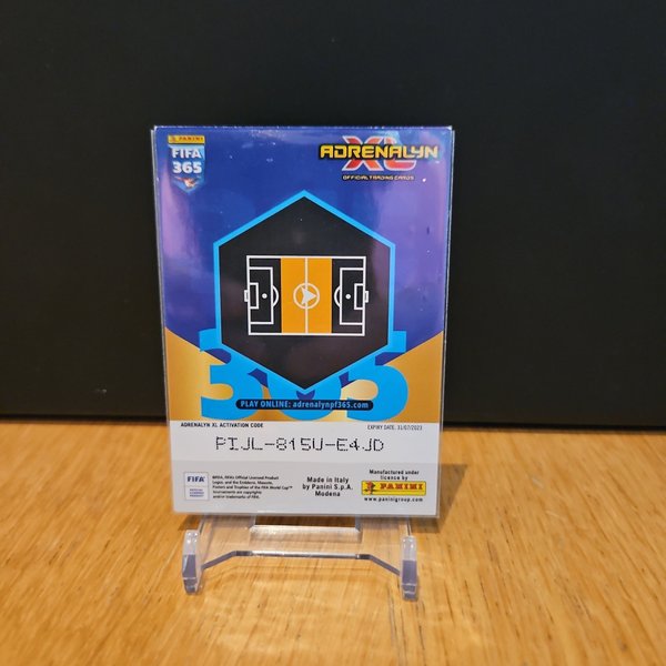 galleryimage 2 zoomed in