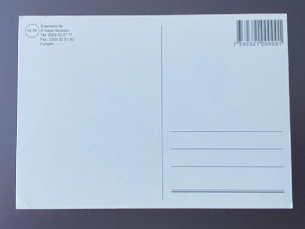 galleryimage 2 zoomed in