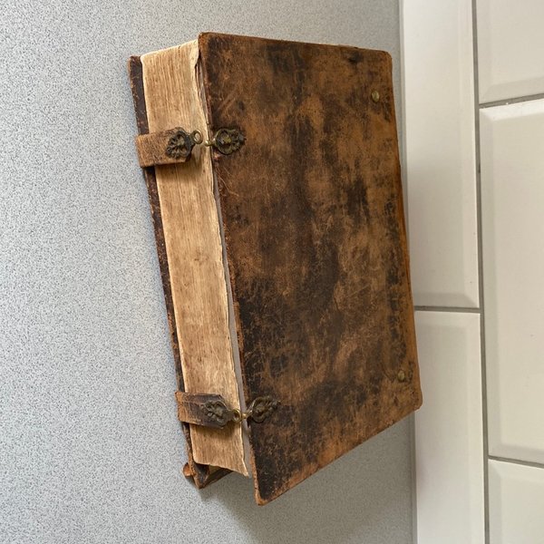 galleryimage 3