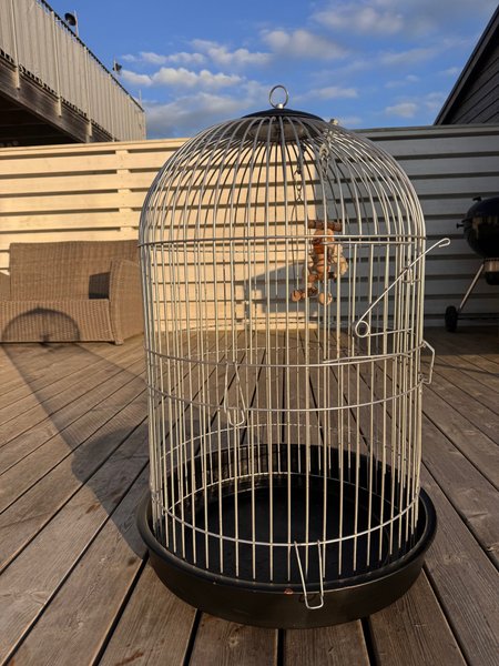 galleryimage 2