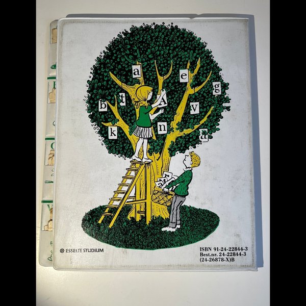 galleryimage 3