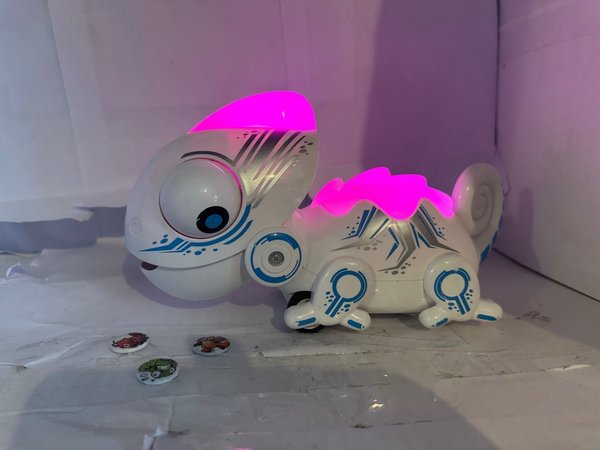 galleryimage 3
