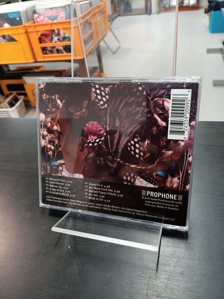 galleryimage 2