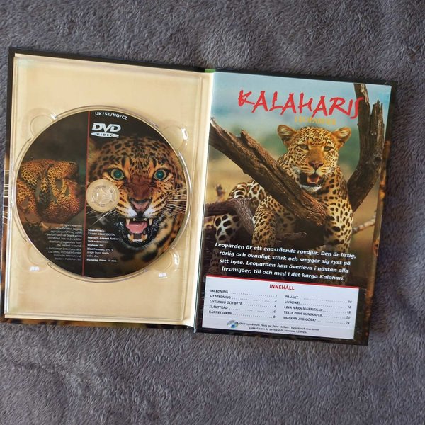 galleryimage 3