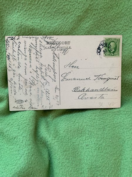 galleryimage 2 zoomed in