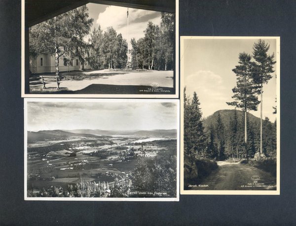 galleryimage 3