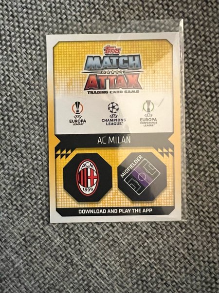 galleryimage 2 zoomed in