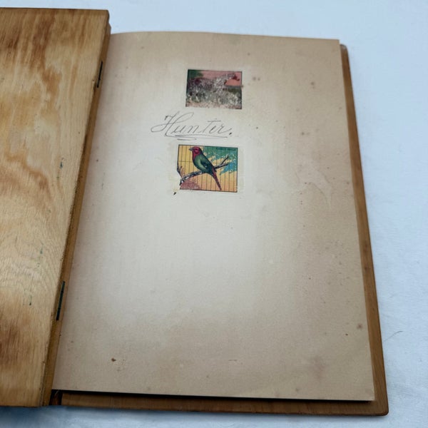 galleryimage 2