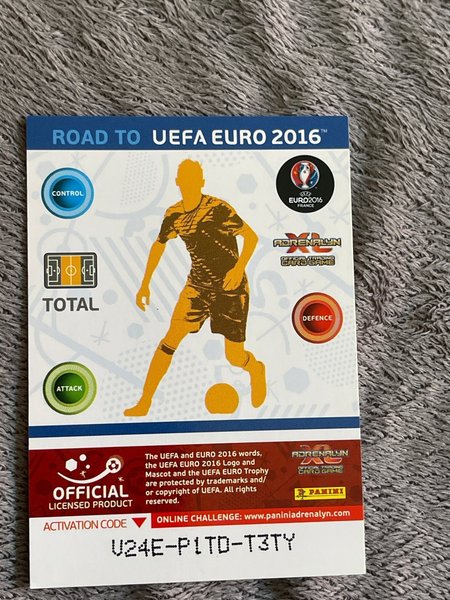 galleryimage 2 zoomed in