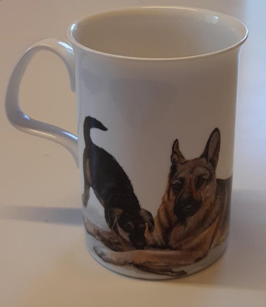 galleryimage 2