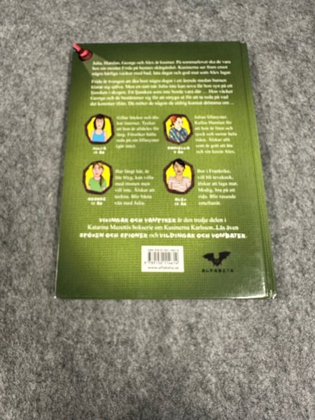 galleryimage 2 zoomed in