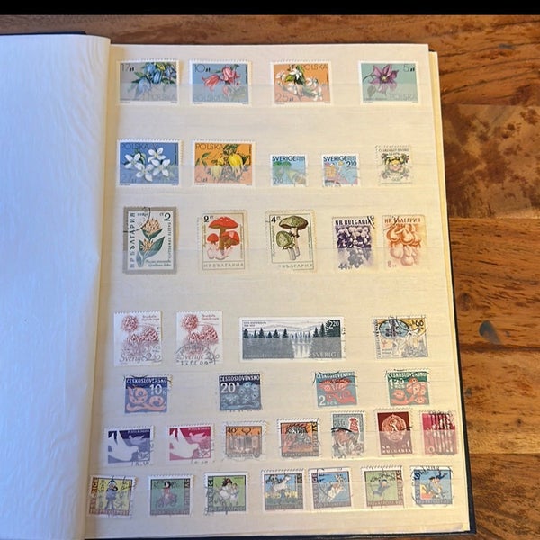 galleryimage 2