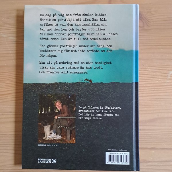 galleryimage 2 zoomed in