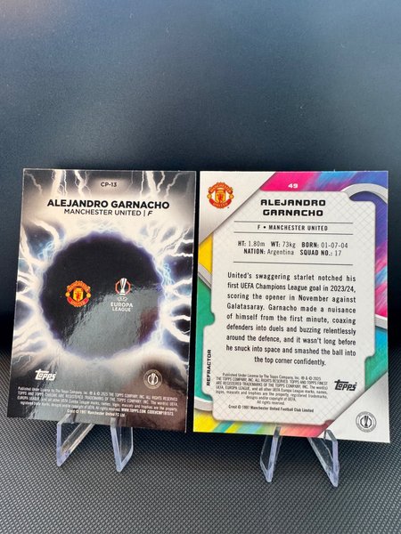 galleryimage 2 zoomed in