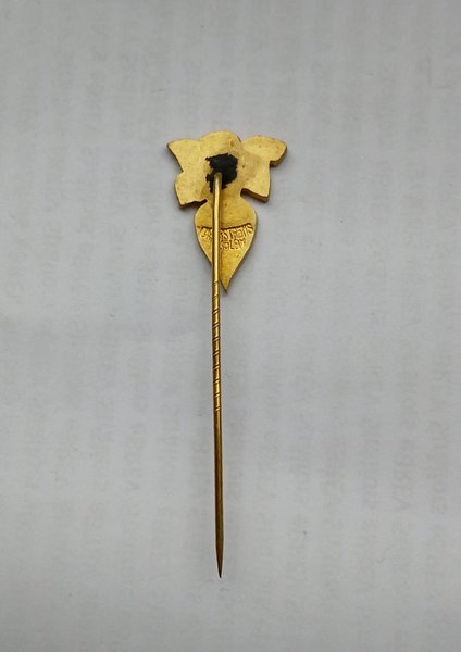 galleryimage 2