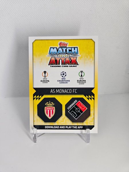 galleryimage 2 zoomed in