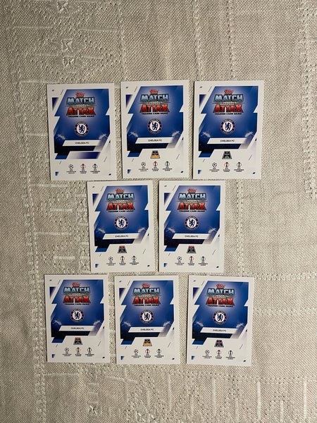 galleryimage 2 zoomed in