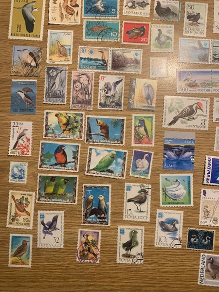 galleryimage 3