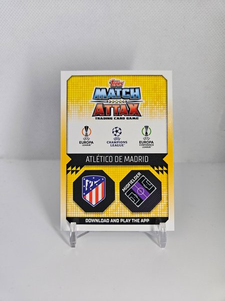 galleryimage 2 zoomed in