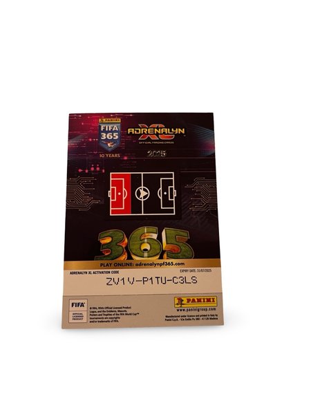 galleryimage 2 zoomed in