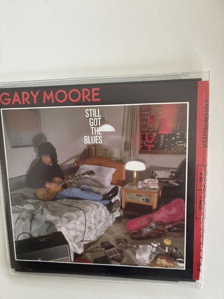 galleryimage 2