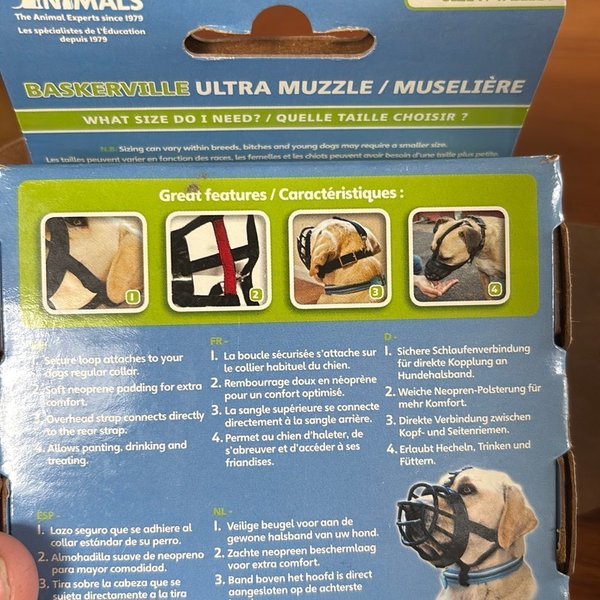 galleryimage 3