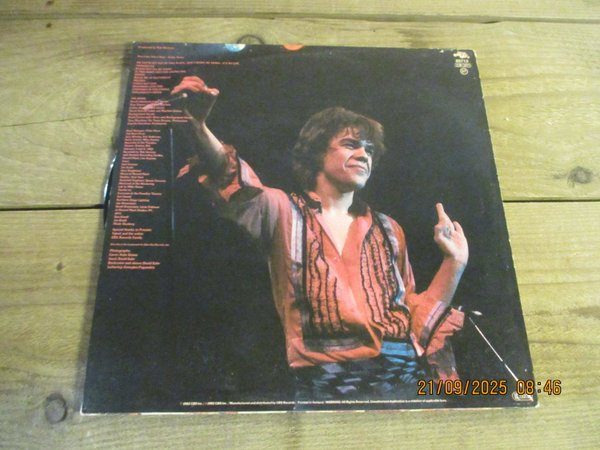 galleryimage 2 zoomed in