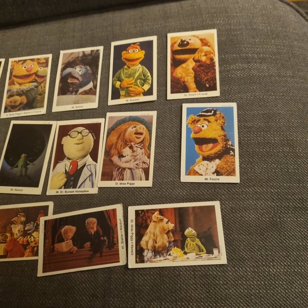 galleryimage 2