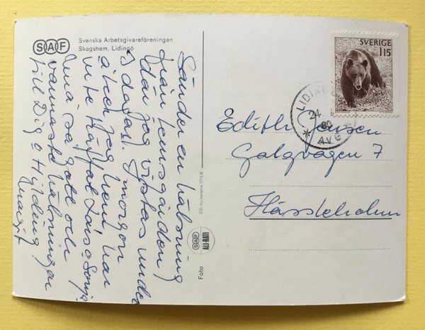 galleryimage 2 zoomed in