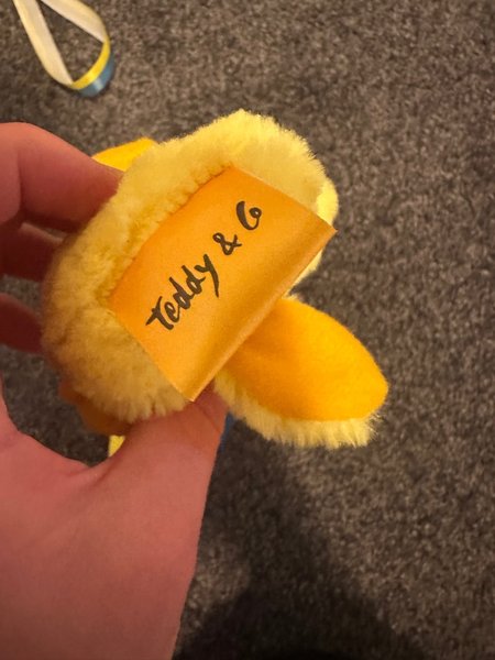 galleryimage 2 zoomed in