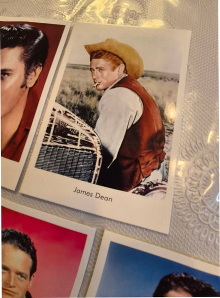 galleryimage 3