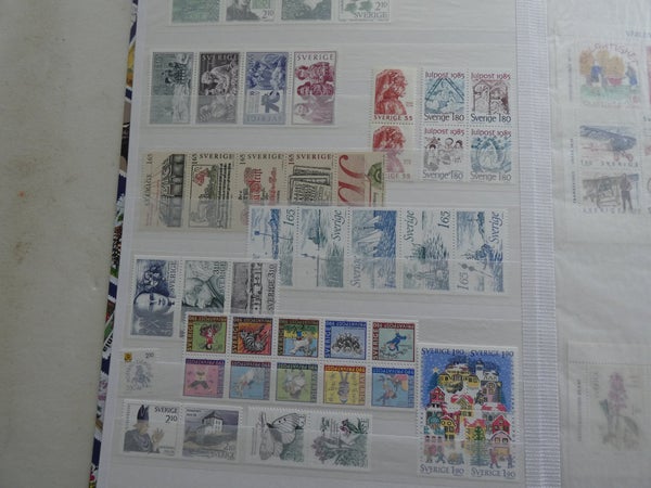 galleryimage 2