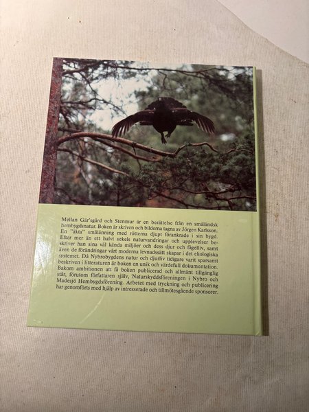 galleryimage 2 zoomed in