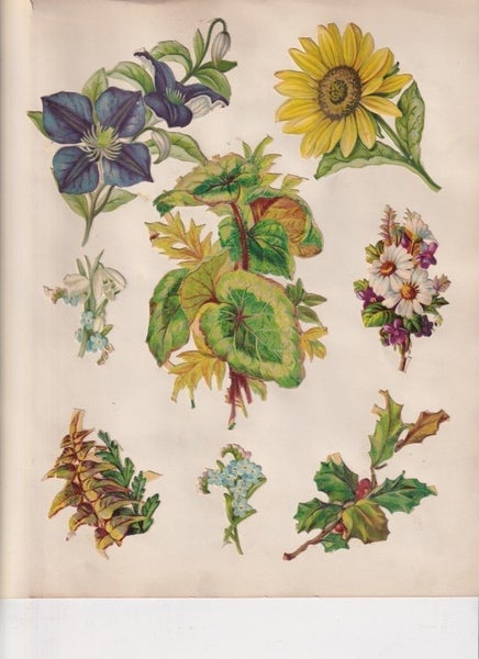 galleryimage 3