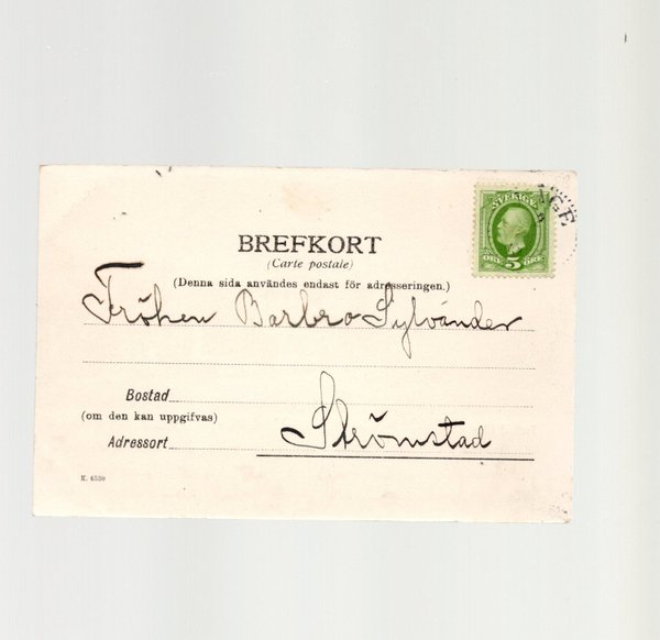 galleryimage 2 zoomed in