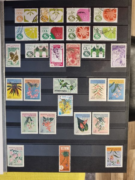 galleryimage 2 zoomed in