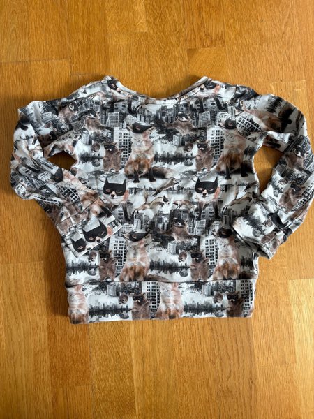 galleryimage 2 zoomed in