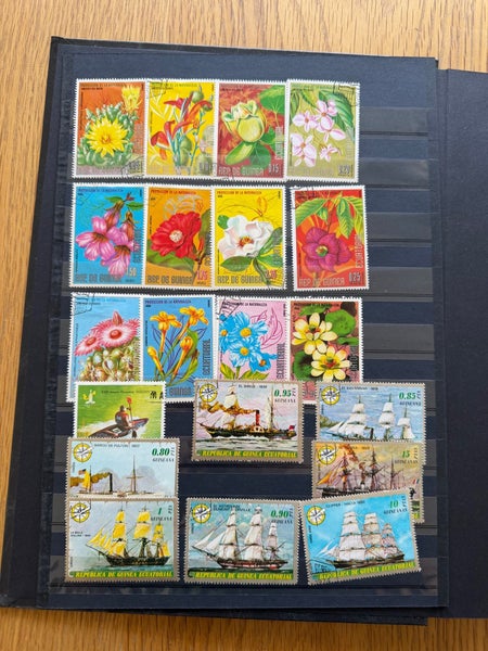 galleryimage 3
