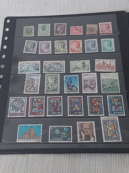 galleryimage 2
